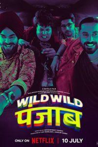 Дикий, дикий Пенджаб / Wild Wild Punjab (2024) смотреть онлайн бесплатно в отличном качестве