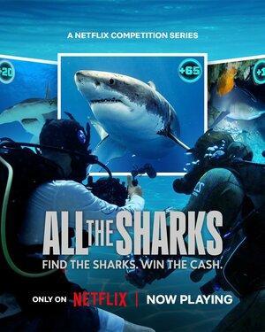 Все акулы / All the Sharks (2025) смотреть онлайн бесплатно в отличном качестве