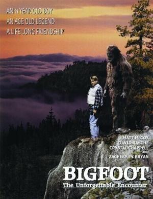 Снежный человек: Незабываемая встреча / Bigfoot: The Unforgettable Encounter (1995) смотреть онлайн бесплатно в отличном качестве