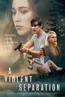 Насильственное разделение / A Violent Separation (2019) смотреть онлайн бесплатно в отличном качестве