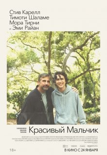 Красивый мальчик / Beautiful Boy (2018) смотреть онлайн бесплатно в отличном качестве