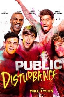 Нарушение общественного порядка / Public Disturbance (2018) смотреть онлайн бесплатно в отличном качестве