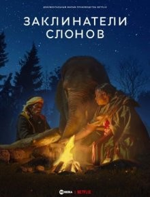 Заклинатели слонов (The Elephant Whisperers) 2022 года смотреть онлайн бесплатно в отличном качестве. Постер