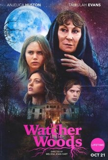 Лесной наблюдатель / The Watcher in the Woods (2017) смотреть онлайн бесплатно в отличном качестве