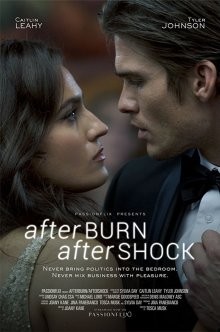 Страсть и покорение / Afterburn/Aftershock (2017) смотреть онлайн бесплатно в отличном качестве