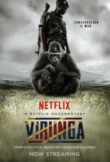 Вирунга / Virunga (2014) смотреть онлайн бесплатно в отличном качестве