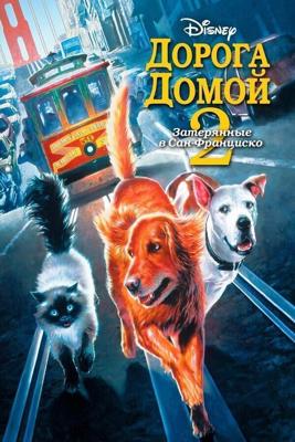 Дорога домой 2: Затерянные в Сан-Франциско / Homeward Bound II: Lost in San Francisco (1996) смотреть онлайн бесплатно в отличном качестве