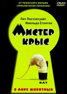 Мистер крыс / Rat (2000) смотреть онлайн бесплатно в отличном качестве