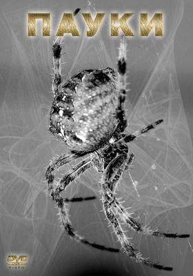 Пауки (Spiders) 2000 года смотреть онлайн бесплатно в отличном качестве. Постер