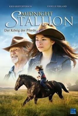 Полночный жеребец / Midnight Stallion (2013) смотреть онлайн бесплатно в отличном качестве