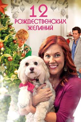 12 Рождественских желаний (12 Wishes of Christmas) 2011 года смотреть онлайн бесплатно в отличном качестве. Постер