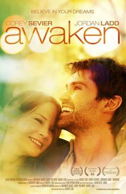 Мечты / Awaken (2012) смотреть онлайн бесплатно в отличном качестве