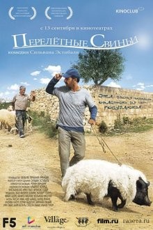 Перелетные свиньи / When Pigs Have Wings (2011) смотреть онлайн бесплатно в отличном качестве