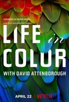 Жизнь в цвете с Дэвидом Аттенборо / Life in Colour (2021) смотреть онлайн бесплатно в отличном качестве