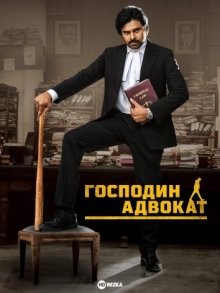 Господин адвокат