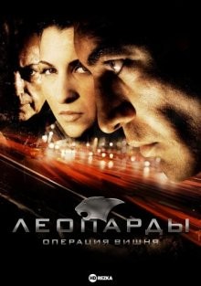 Леопарды: Операция вишня / Pars: Kiraz operasyonu (2007) смотреть онлайн бесплатно в отличном качестве