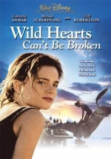 Храбрых сердцем не сломить (Wild Hearts Can't Be Broken)  года смотреть онлайн бесплатно в отличном качестве. Постер