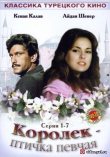 Королек – птичка певчая / Çalikusu (1986) смотреть онлайн бесплатно в отличном качестве