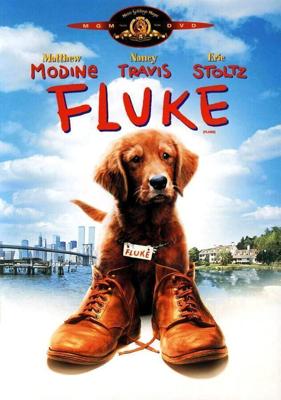 Флюк / Fluke (1995) смотреть онлайн бесплатно в отличном качестве