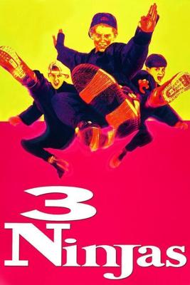 Три ниндзя / 3 Ninjas (None) смотреть онлайн бесплатно в отличном качестве