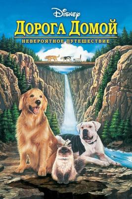 Дорога домой: Невероятное путешествие / Homeward Bound: The Incredible Journey (None) смотреть онлайн бесплатно в отличном качестве