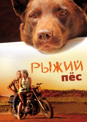 Рыжий пес / Red Dog (2011) смотреть онлайн бесплатно в отличном качестве