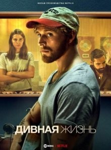 Дивная жизнь (A Beautiful Life) 2023 года смотреть онлайн бесплатно в отличном качестве. Постер