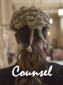 Адвокат / Counsel (2019) смотреть онлайн бесплатно в отличном качестве