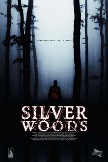 Серебряный лес / Silver Woods (2017) смотреть онлайн бесплатно в отличном качестве