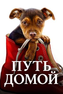 Путь домой / A Dog's Way Home (2019) смотреть онлайн бесплатно в отличном качестве