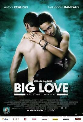 Большая любовь / Big Love (2012) смотреть онлайн бесплатно в отличном качестве