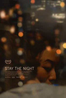 Роман на одну ночь / Stay the Night (2022) смотреть онлайн бесплатно в отличном качестве