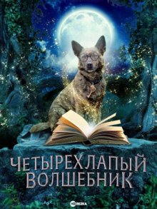 Удивительный волшебник из Лапы/Четырехлапый волшебник / The Amazing Wizard of Paws (2015) смотреть онлайн бесплатно в отличном качестве