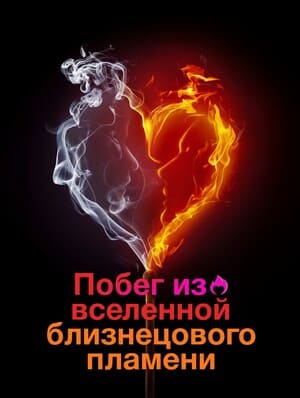 Побег из вселенной близнецового пламени (Desperately Seeking Soulmate: Escaping Twin Flames Universe) 2023 года смотреть онлайн бесплатно в отличном качестве. Постер