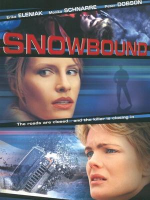 Занесенный снегом / Snowbound (2001) смотреть онлайн бесплатно в отличном качестве