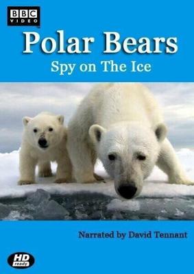 Белый медведь: Шпион во льдах / Polar Bears: Spy on the Ice (2011) смотреть онлайн бесплатно в отличном качестве