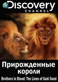 Прирожденные короли (Brothers in Blood: The Lions of Sabi Sand) 2015 года смотреть онлайн бесплатно в отличном качестве. Постер