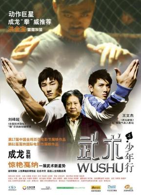 Ушу (Wushu) 2008 года смотреть онлайн бесплатно в отличном качестве. Постер