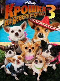 Крошка из Беверли-Хиллз 3 (Beverly Hills Chihuahua 3: Viva La Fiesta!)  года смотреть онлайн бесплатно в отличном качестве. Постер