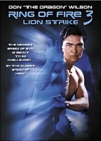 Огненное кольцо 3: Удар льва / Lion Strike (1995) смотреть онлайн бесплатно в отличном качестве