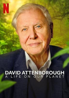 Дэвид Аттенборо: Жизнь на нашей планете / David Attenborough: A Life on Our Planet (None) смотреть онлайн бесплатно в отличном качестве