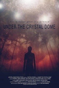 Под хрустальным куполом (Under the Crystal Dome) 2019 года смотреть онлайн бесплатно в отличном качестве. Постер