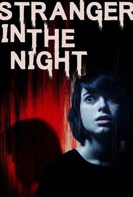 Незнакомец в ночи / Stranger in the Night (2019) смотреть онлайн бесплатно в отличном качестве