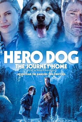 Собака-герой: путешествие домой / Hero Dog: The Journey Home (Against The Wild III: The Journey Home) (2021) смотреть онлайн бесплатно в отличном качестве