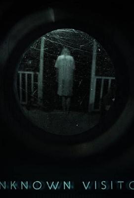 Незнакомый гость / Unknown Visitor (2019) смотреть онлайн бесплатно в отличном качестве