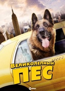 Великолепный пес / Cool Dog (2010) смотреть онлайн бесплатно в отличном качестве