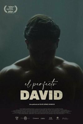 Идеальный Давид / El perfecto David (2021) смотреть онлайн бесплатно в отличном качестве