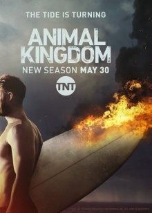 По волчьим законам / Царство животных / Animal Kingdom (2016) смотреть онлайн бесплатно в отличном качестве