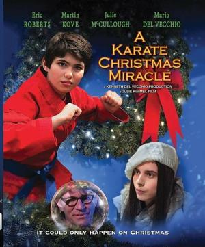 Рождественское чудо в стиле карате / A Karate Christmas Miracle (2019) смотреть онлайн бесплатно в отличном качестве