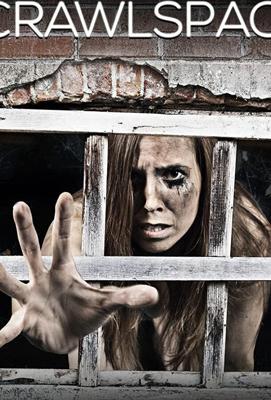 В подвале (The Girl in the Crawlspace) 2018 года смотреть онлайн бесплатно в отличном качестве. Постер